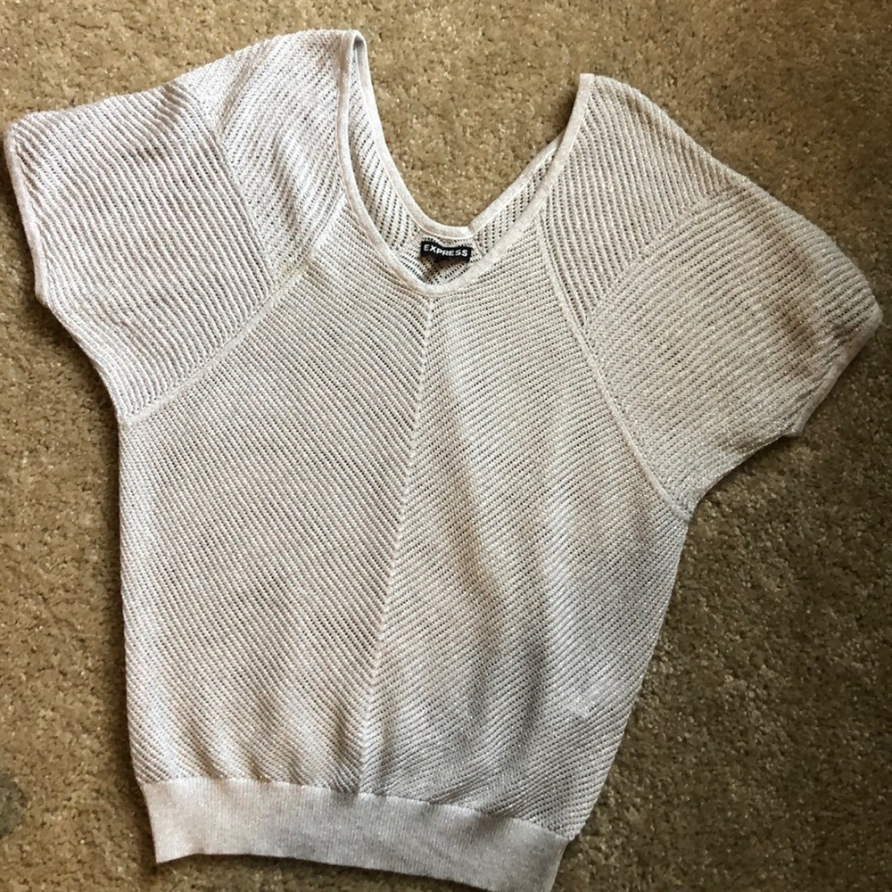 Express silver sparkle sweater